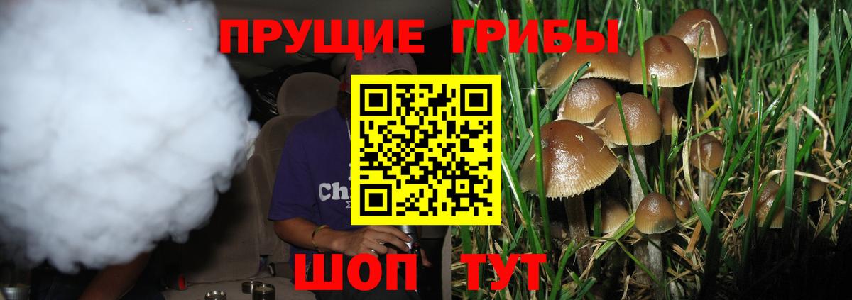 Галлюциногенные грибы мухоморы  Вход с VPN  Богданович  Галлюциногенные грибы мухоморы 